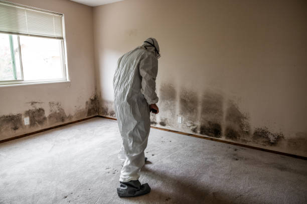 Mold Remediation for Rental Properties in Newton, NC